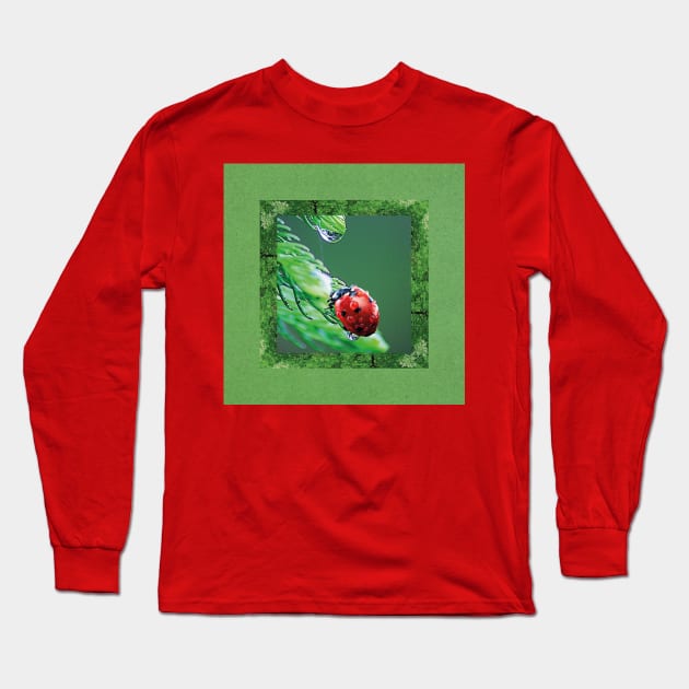 ladybug photography throw a green background Long Sleeve T-Shirt by Choulous79